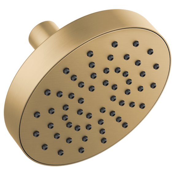 BRIZO 82392-2.5 EURO RD SINGLE FUNCTION SHOWERHEAD