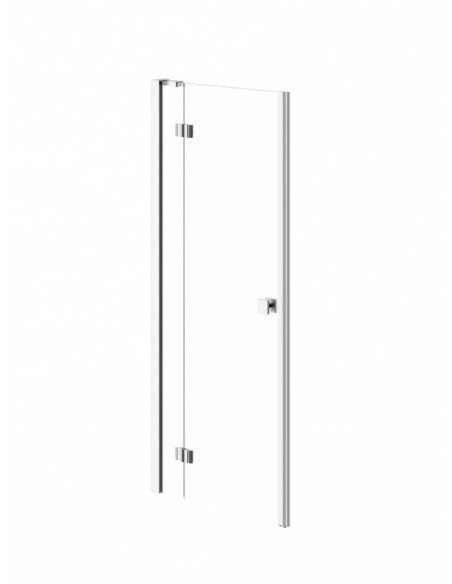 Neptune ZEN shower door