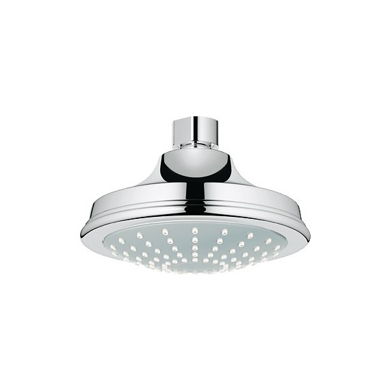 GROHE 28737 Euphoria Rustic Shower head