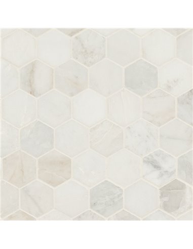 MSI Arabescato Venato White  2" Hexagon Honed - Box