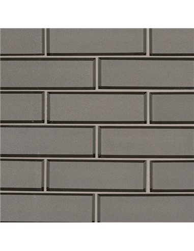 MSI Champagne Bevel Subway Tile 2X6 - Box