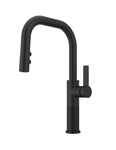 Pfister Montay 1-Handle Pull-Down Kitchen Faucet 