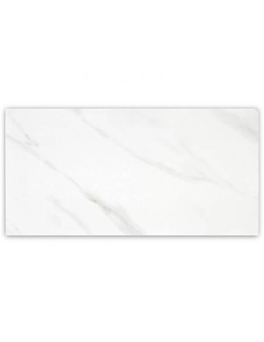 Mango Tile Dream White 12X24 Porcelain Tile