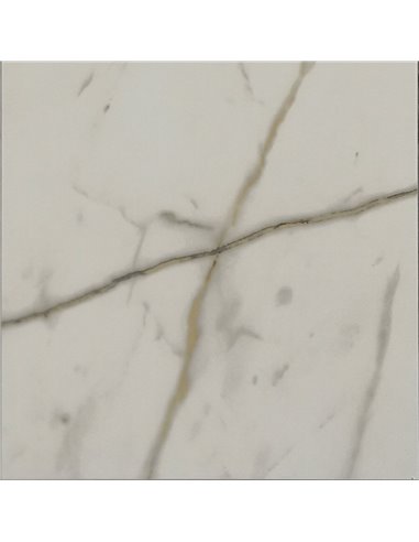 Mango Tile Miami Gold 12X24 Porcelain Tile