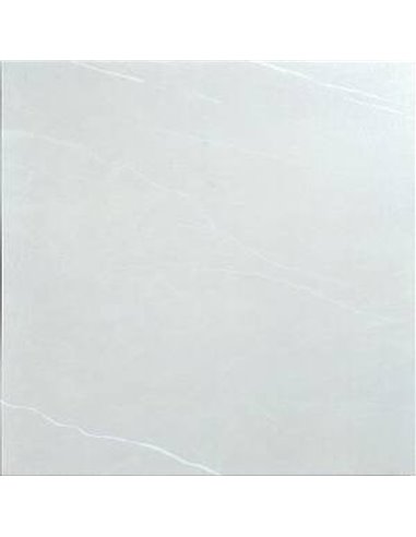 Mango Tile Camelia Sliver 12X24 Porcelain Tile