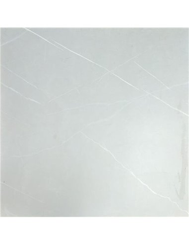 Mango Tile Camelia Sliver 24X24 Porcelain Tile