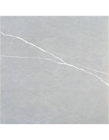 Mango Tile Camelia Gris 12X24 Porcelain Tile