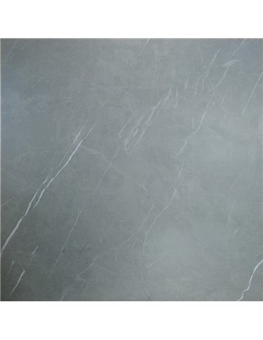 Mango Tile Camelia Gris 24X24 Porcelain Tile