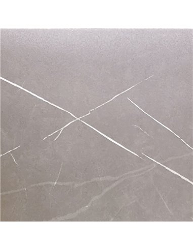 Mango Tile Camelia Dark 12X24 Porcelain Tile