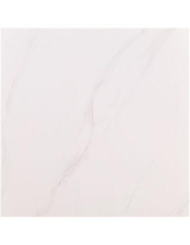 Mango Tile Dream White Polished 24X48