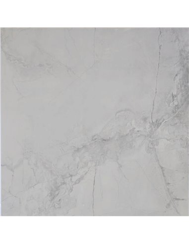 Mango Tile Camellia Winter Grey 24X48