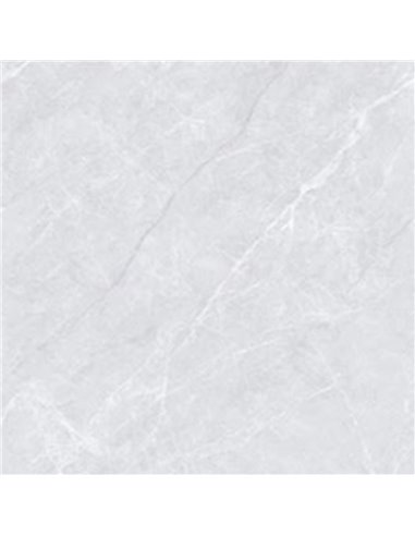 Mango Tile Ariosa Platinum Thin Wall Tile 24X48 Box