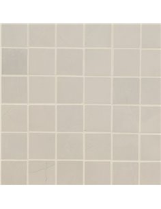 MSI Surfaces Sande Ivory 2X2 Matte