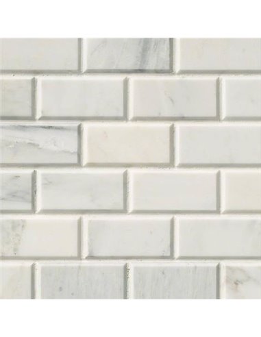 MSI Surfaces Arabescato Carrara 2X4 Mosaic 