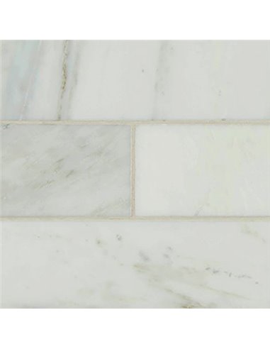 MSI Surfaces Arabescato Carrara 4X12 Honed