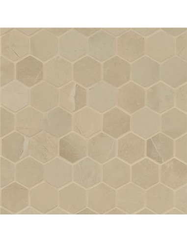MSI Surfaces Sande Cream 2X2 Hexagon Matte