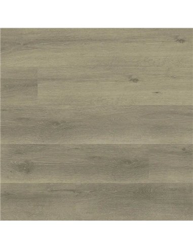 MSI Surfaces Ashton 2.0 Dillion Fog 7X48 Luxury Vinyl Planks