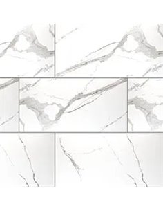 MSI Surfaces Eden Statuary 12X24 Matte