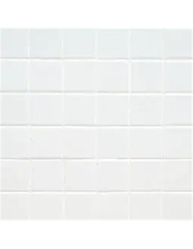 MSI Surfaces White Polished 2X2 Mosaic