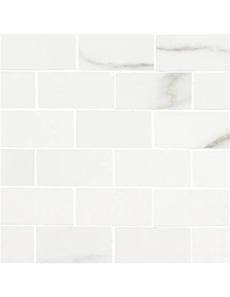 MSI Surfaces Aria Bianco 2X4 Mosaic