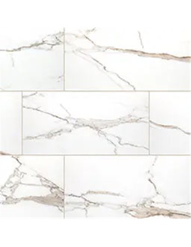 MSI Surfaces Savoy Crema 12X24 Polished