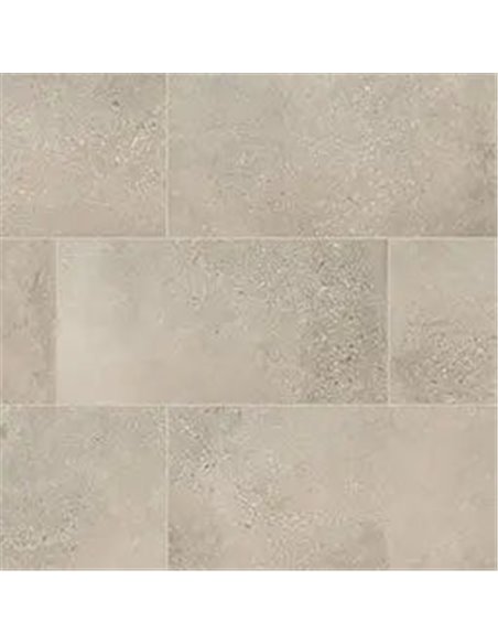 MSI Surfaces Calypso Ash 24X48 Matte