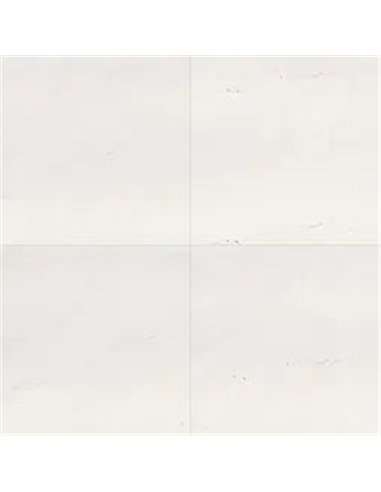 MSI Surfaces Aria Ice 24X24