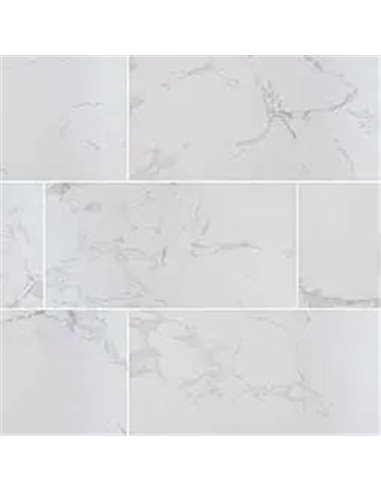 MSI Surfaces Praia Carrara 12X24 Matte