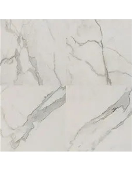 MSI Surfaces Regallo Calacatta Isla 24X24
 Polished