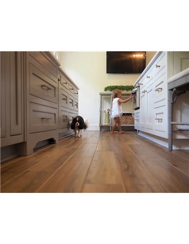 MSI Surfaces Palmetto Cognac 