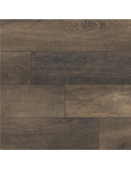 MSI Surfaces Upscape Bruno 6X40 