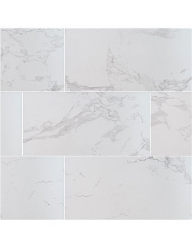 MSI Surfaces Praia Carrara 24X48 Matte 
