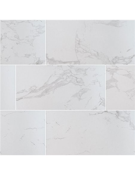 MSI Surfaces Praia Carrara 24X48 Matte 
