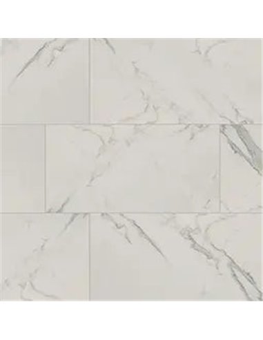 MSI Surfaces Regallo Calacatta Isla 12X24 
Matte 