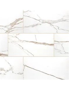 MSI Surfaces Savoy Crema 24X48 Polished 