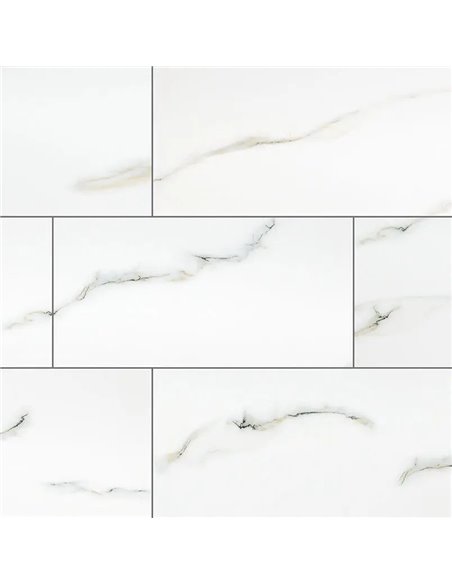 MSI Surfaces Aria Bianco 12X24 