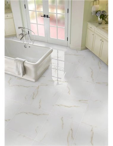 MSI Surfaces Aria Bianco 12X24 