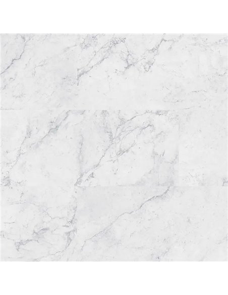 MSI Surfaces Trecento Carrara Avell 12X24 