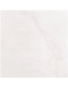 MSI Surfaces Bianco Dolomite 12X24 Honed 