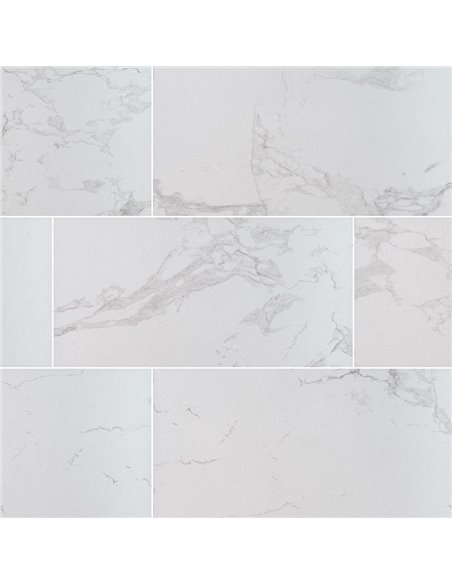 MSI Surfaces Praia Carrara 12X24 Polished 
