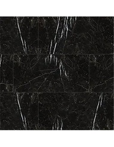 MSI Surfaces Regallo Marquina Noir 24X48 Polished 