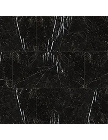 MSI Surfaces Regallo Marquina Noir 24X48 Polished 