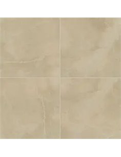 MSI Surfaces Sande Cream 24X24 Polished 