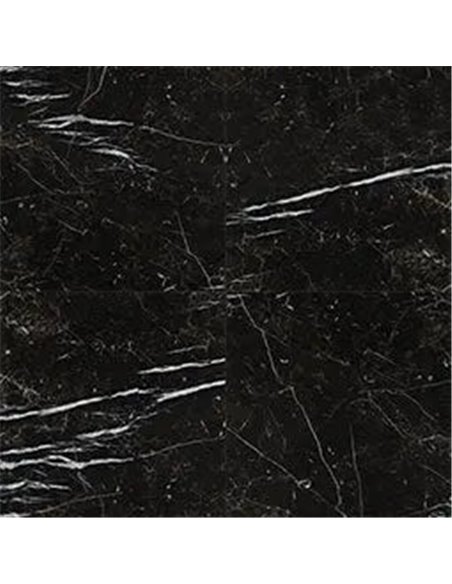 MSI Surfaces Regallo Marquina Noir 24X24 Polished 