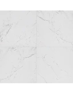 MSI Surfaces Pietra Carrara 24X24 Matte 