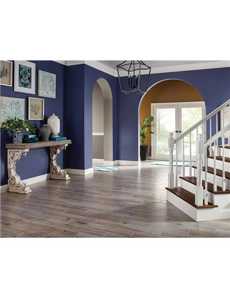 MSI Surfaces Palmetto Fog 