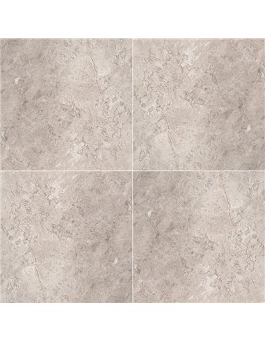 MSI Surfaces Tundra Gray 12X12 