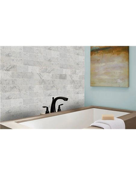 MSI Surfaces Carrara White 3X6 Honed 