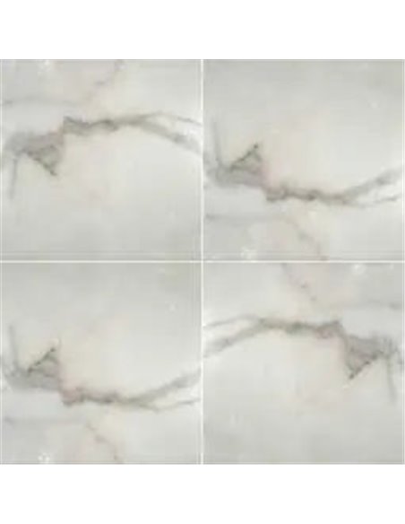 MSI Surfaces Calacatta Gold 12X12 Honed 