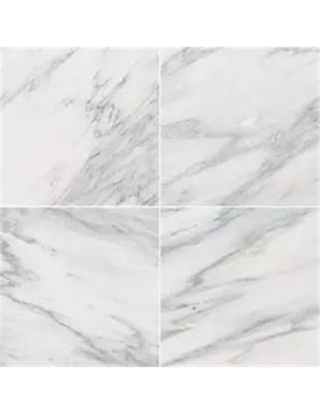MSI Surfaces Arabescato Carrara 12X12 Polished 